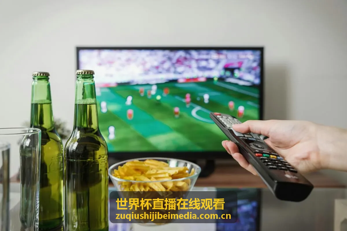 世界杯直播在线观看 - 球队资讯入口