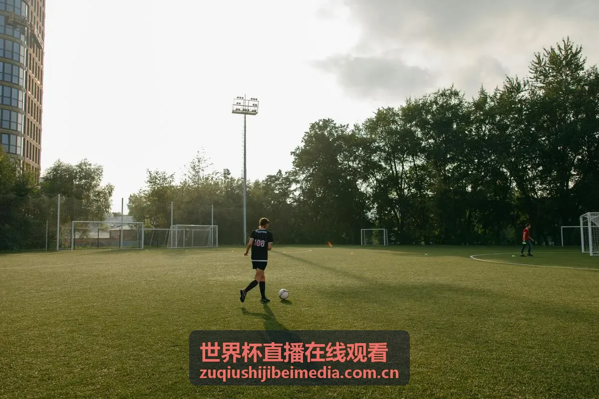 世界杯直播在线观看 - 西班牙对阵荷兰精彩回放